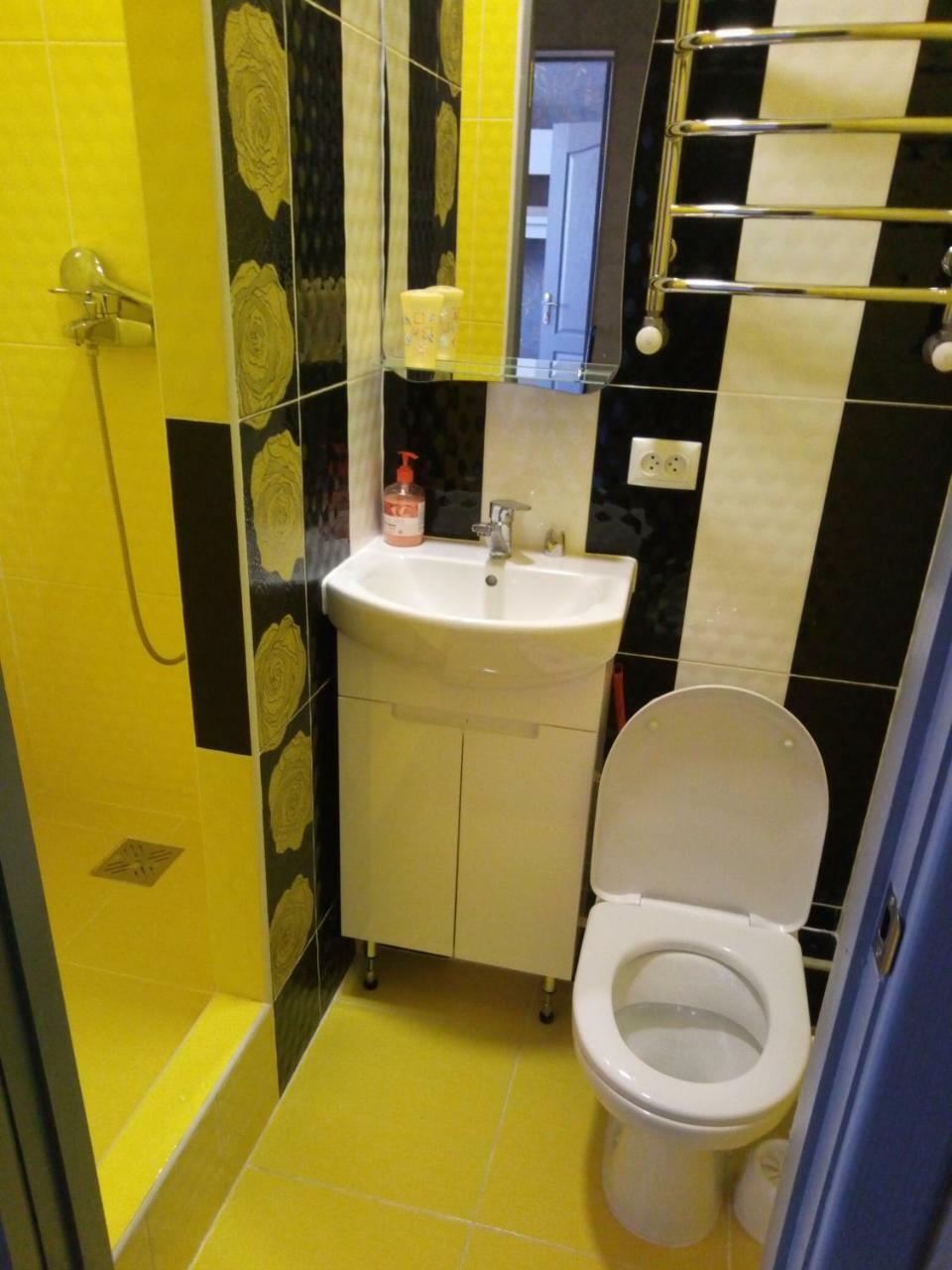 Зарванская Стрит 9 Apartman Kamjanyi Potoki Kültér fotó
